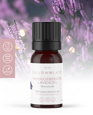 Lavender Essential Oil – Smellacloud UK