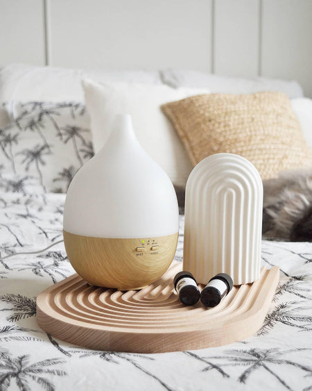 Pros and Cons of Diffusers and Essential Oils  Air Filter Subscription  Service FilterTime™