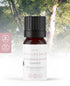 Coniferous forest 100% essential oil 5ml original Smellacloud blend