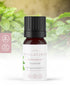 Peppermint 100% Essential Oil 10ml